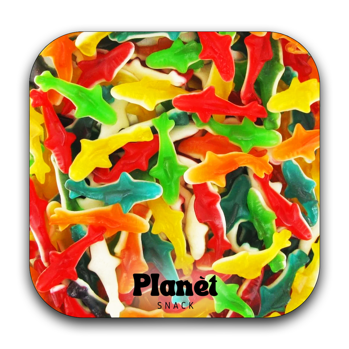 Requins Lisses - 100g